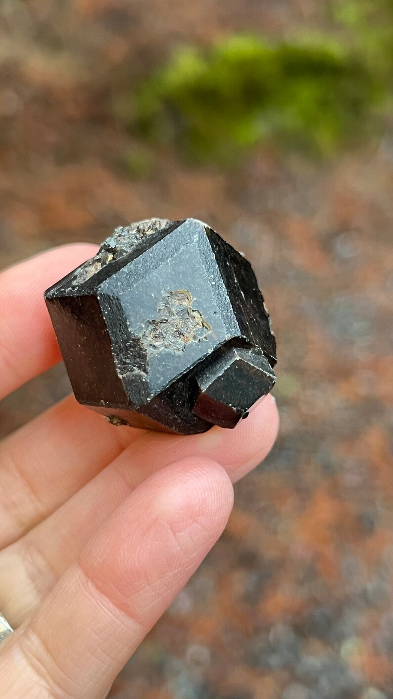 Andradite Garnet var. Melanite, Black Garnet, 49g Mali