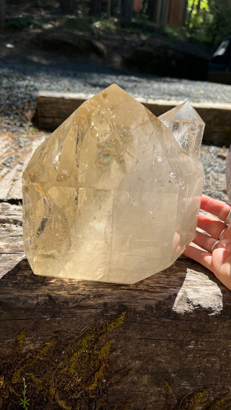 Large Elestial Citrine Decorator Crystal