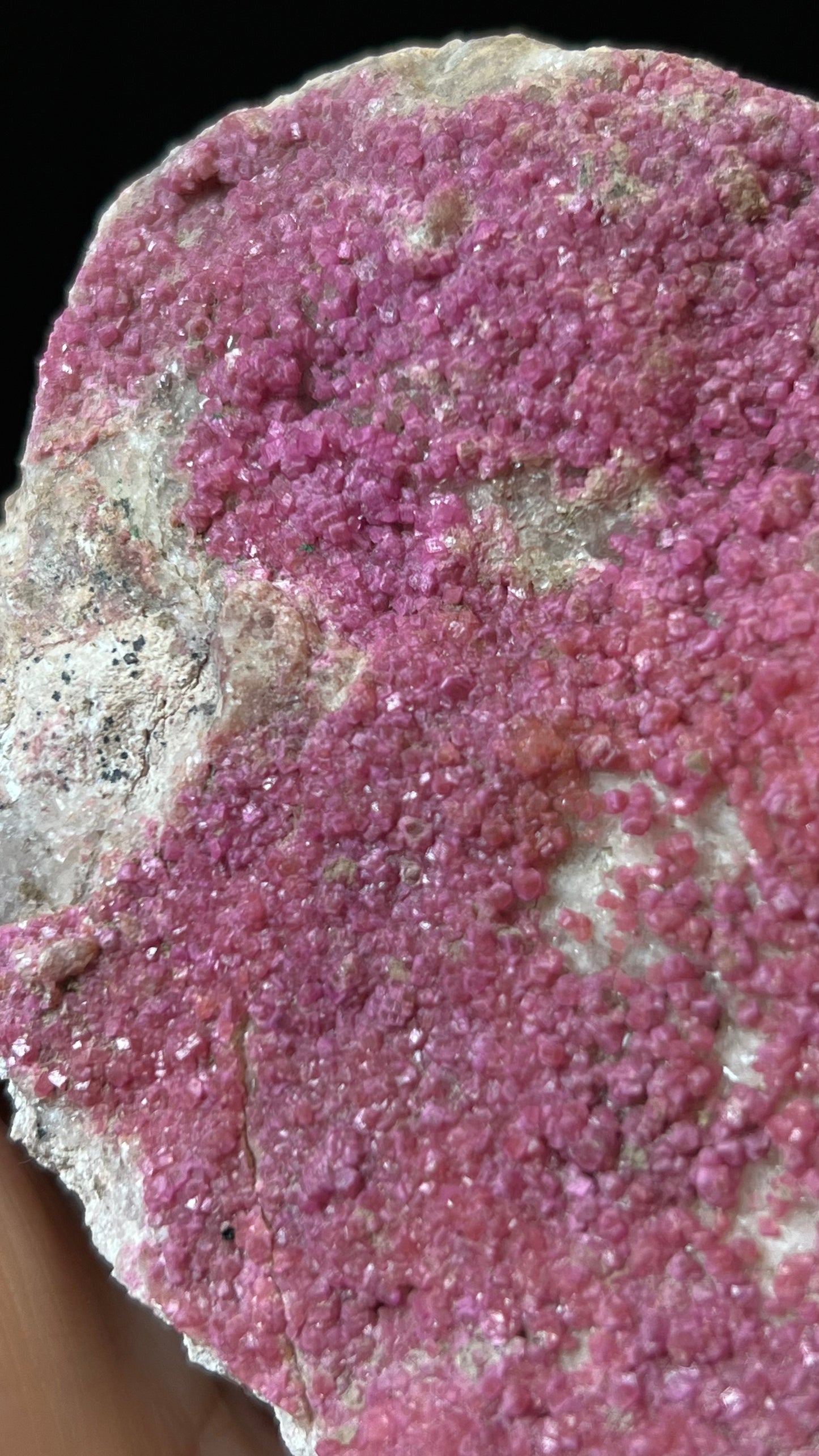 Pink Cobalt Calcite Geode