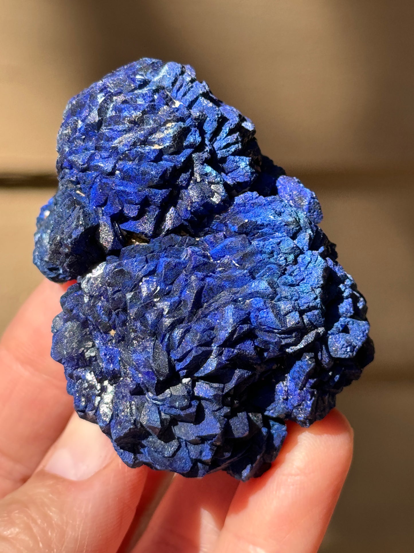 Azurite Rosette 153g, Morenci Mine, Arizona USA