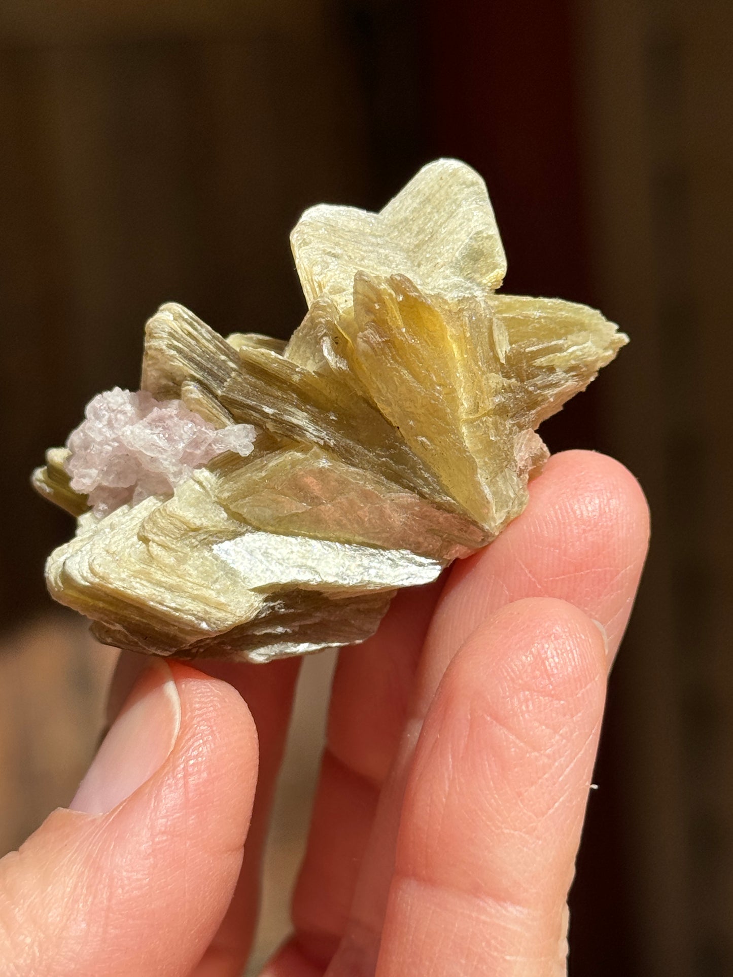 Star Mica with Crystalized Rose Quartz, 32g Brazil