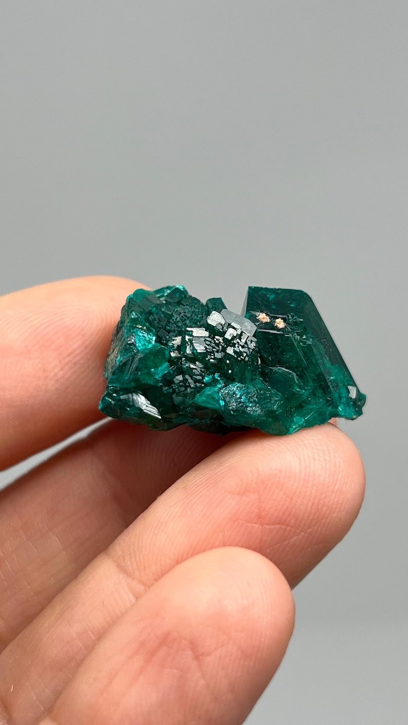 Prismatic Dioptase, Emerald Green Crystal, Pool Dept. Congo