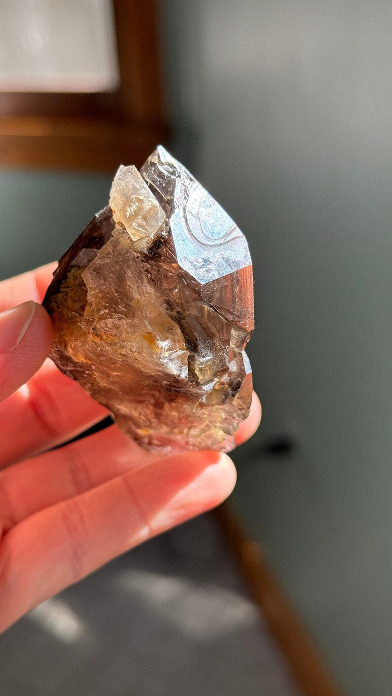 Smoky Elestial Enhydro Quartz, 113g Brazil