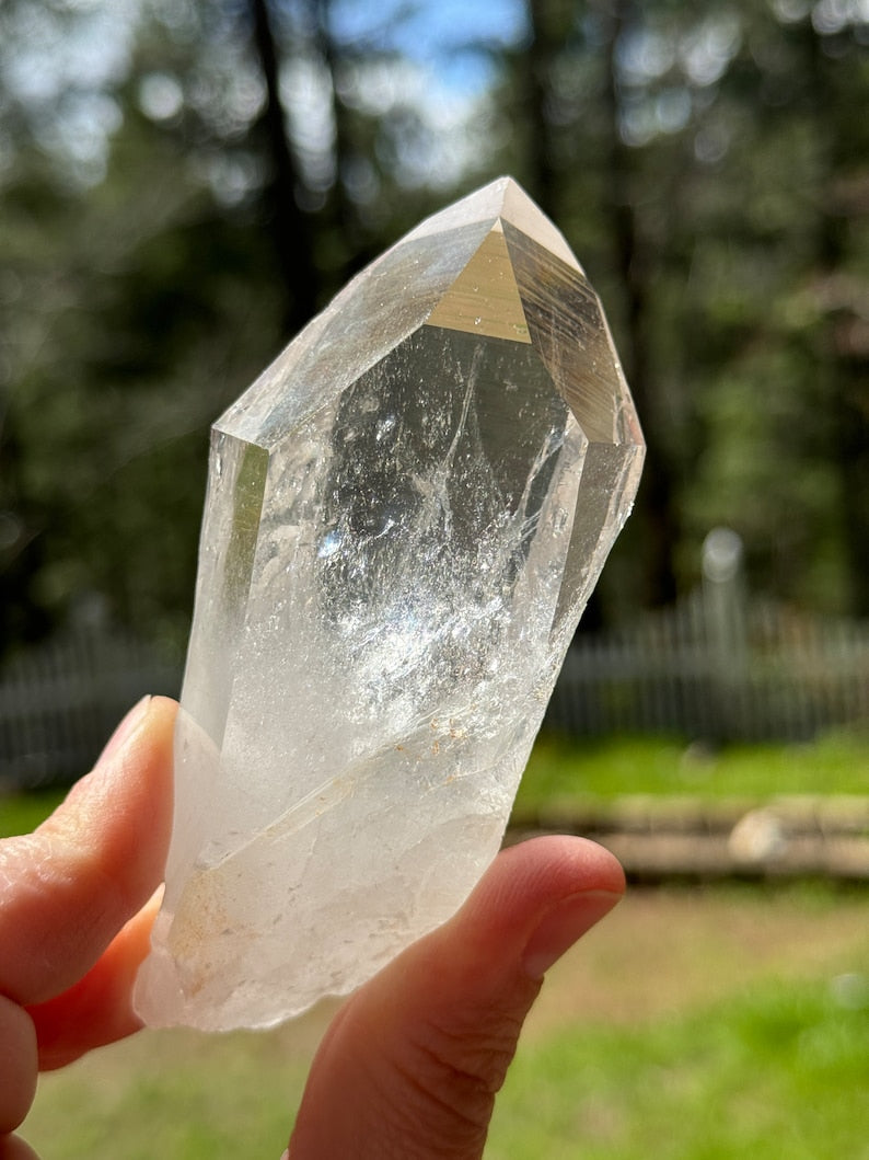 Prismatic McEarl Lemurian 168g, Arkansas, USA