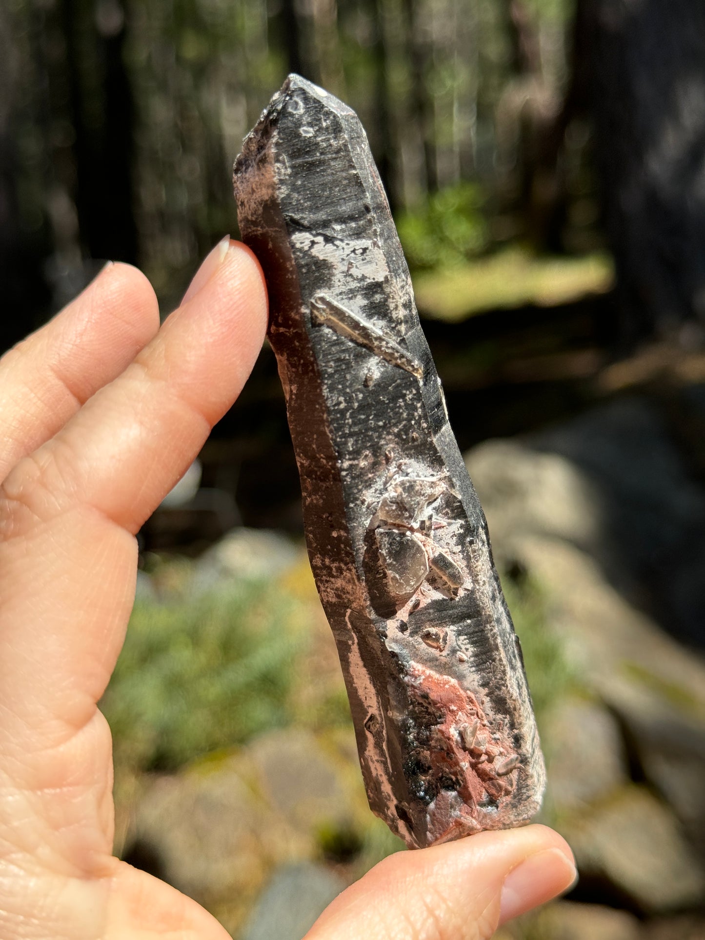 DT Morion Smoky Quartz Lemurian, 82g Mongolia