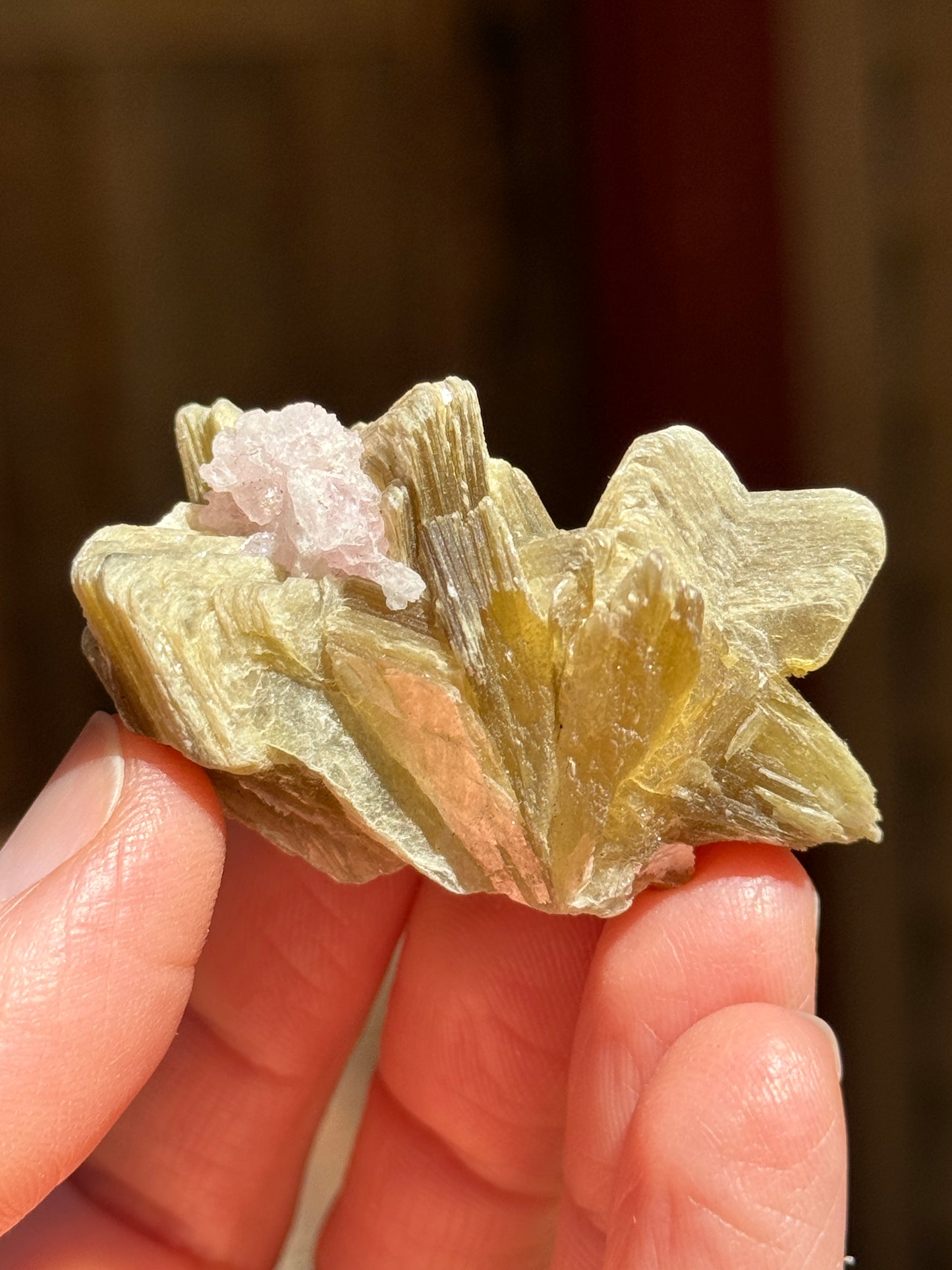 Star Mica with Crystalized Rose Quartz, 32g Brazil