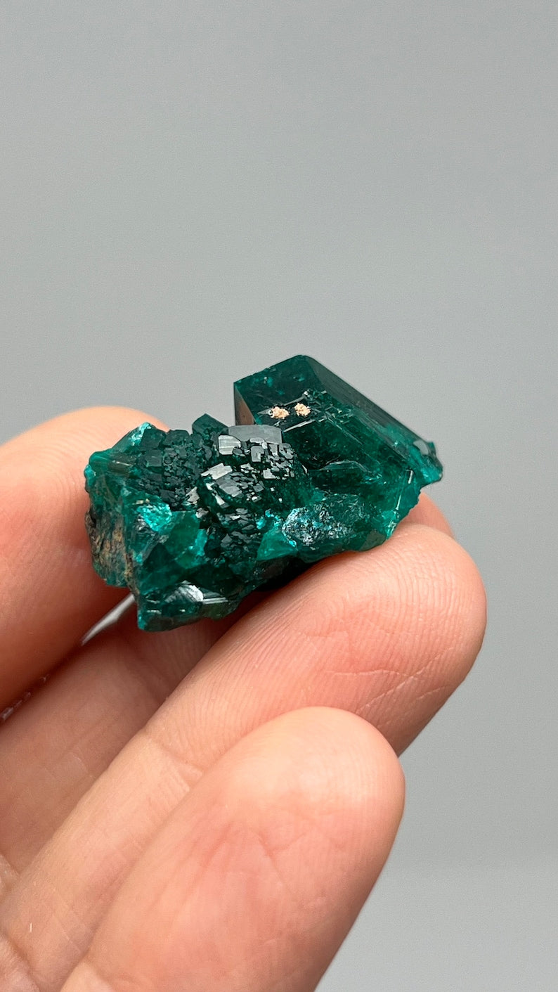 Prismatic Dioptase, Emerald Green Crystal, Pool Dept. Congo