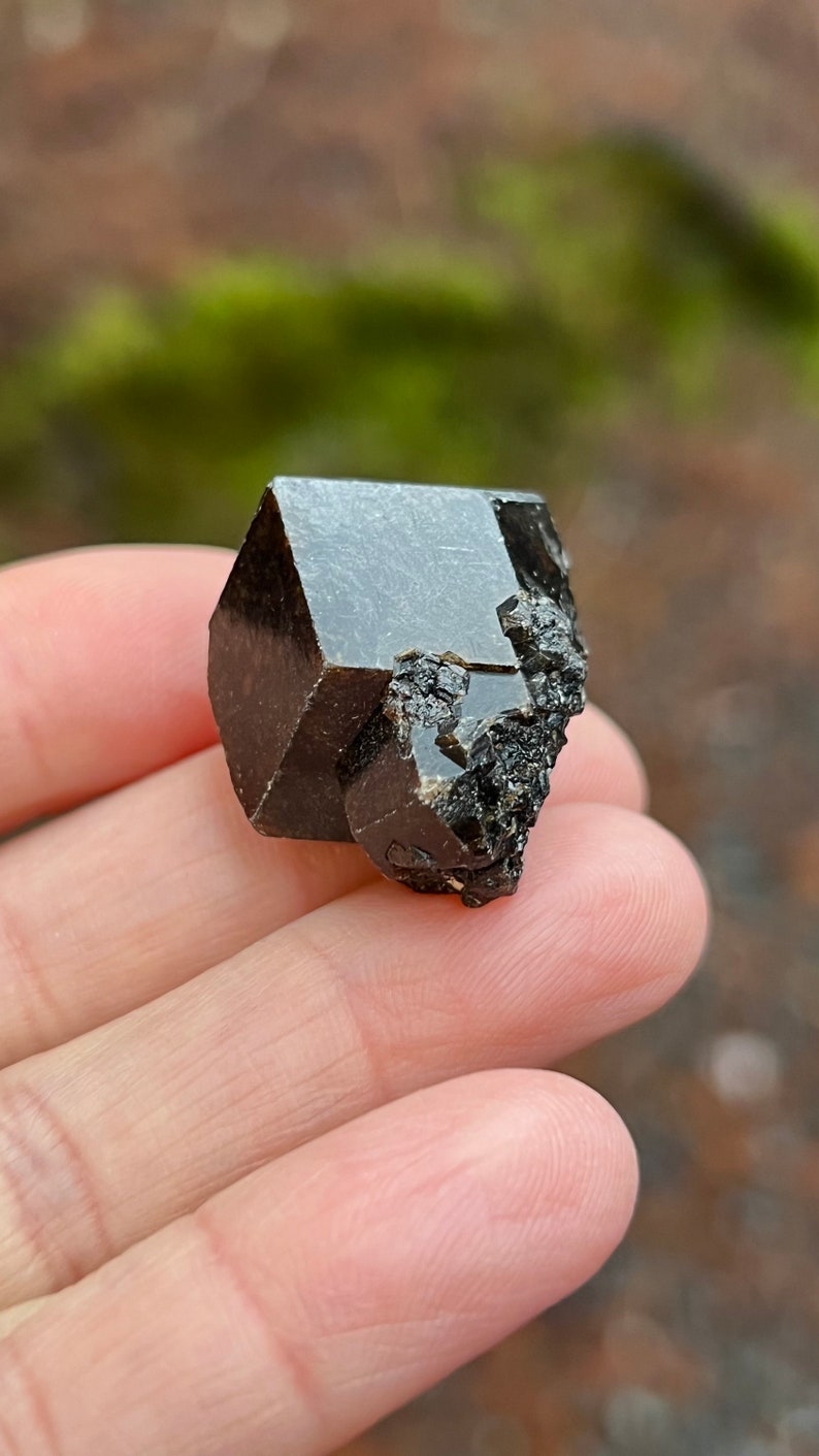 Andradite Garnet var. Melanite, Black Garnet, 22g Mali