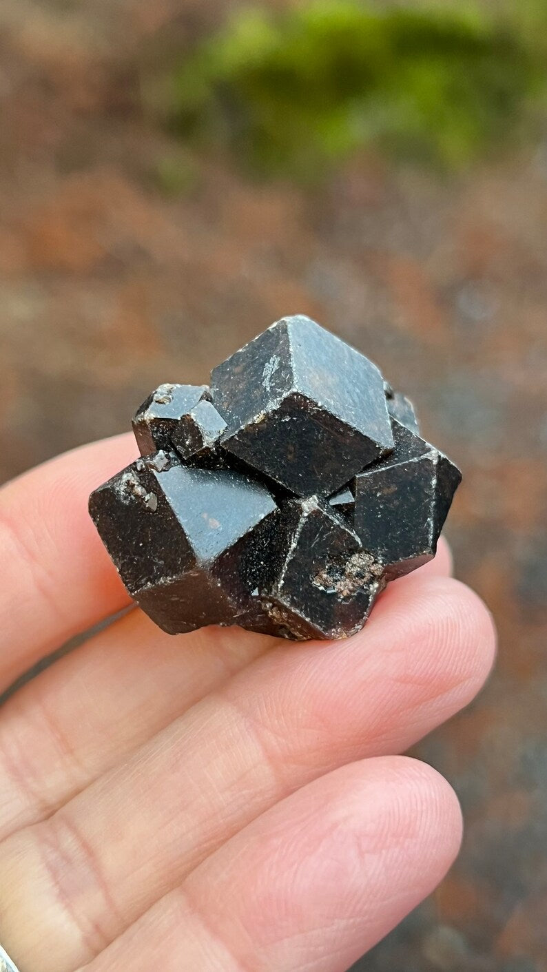 Andradite Garnet var. Melanite, Black Garnet, 31g Mali