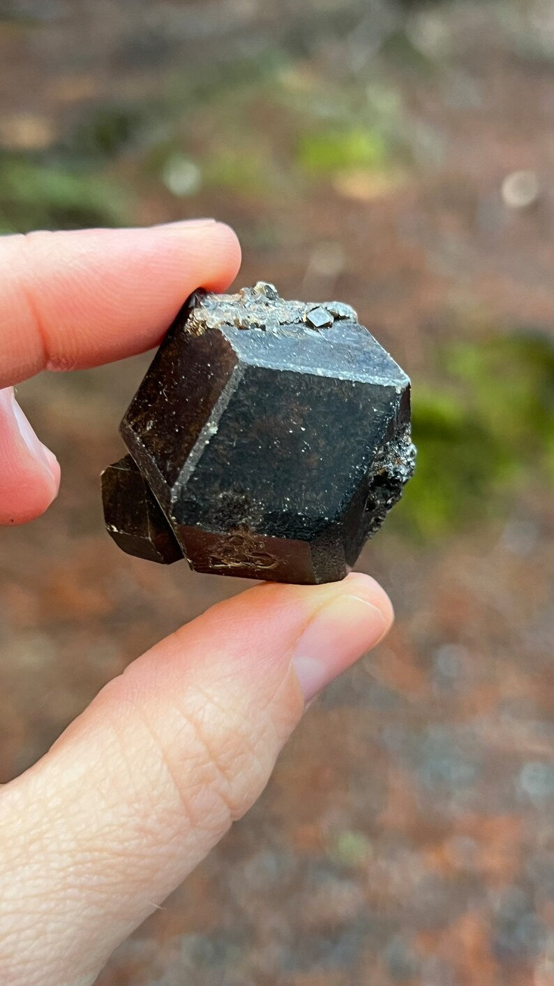 Andradite Garnet var. Melanite, Black Garnet, 49g Mali