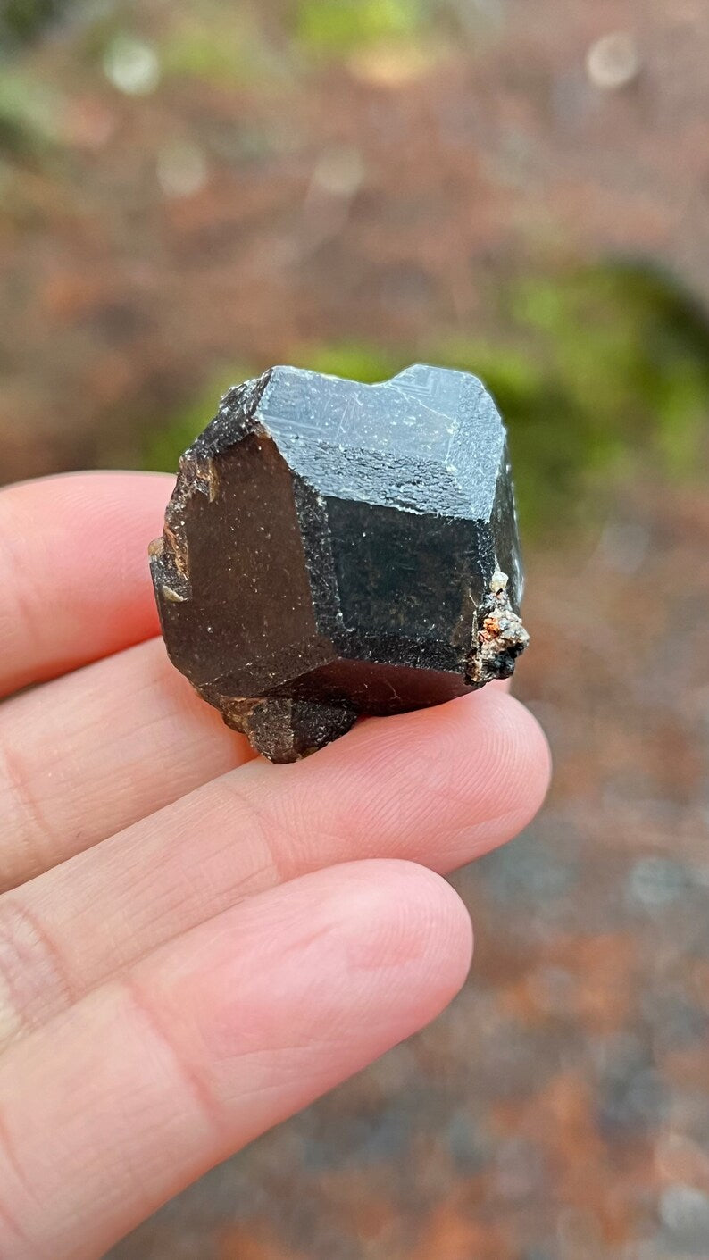 Andradite Garnet var. Melanite, Black Garnet, 39g Mali