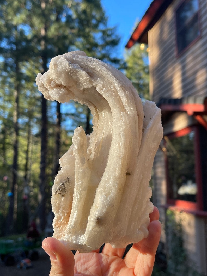 Large Rams Horn Gypsum Selenite, Mexico - self standing