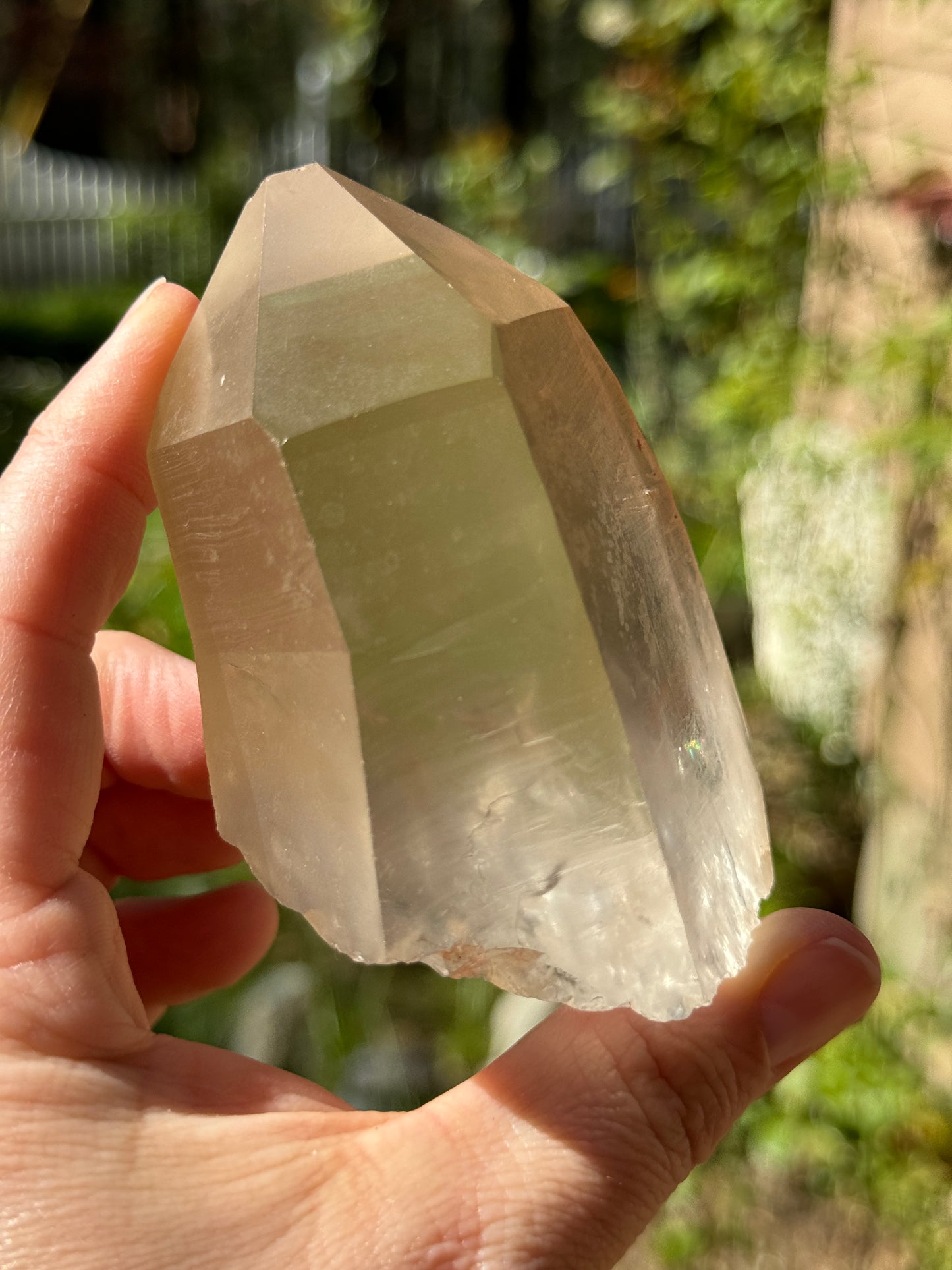 Bendy Golden Healer Lemurian Quartz, 286g Brazil