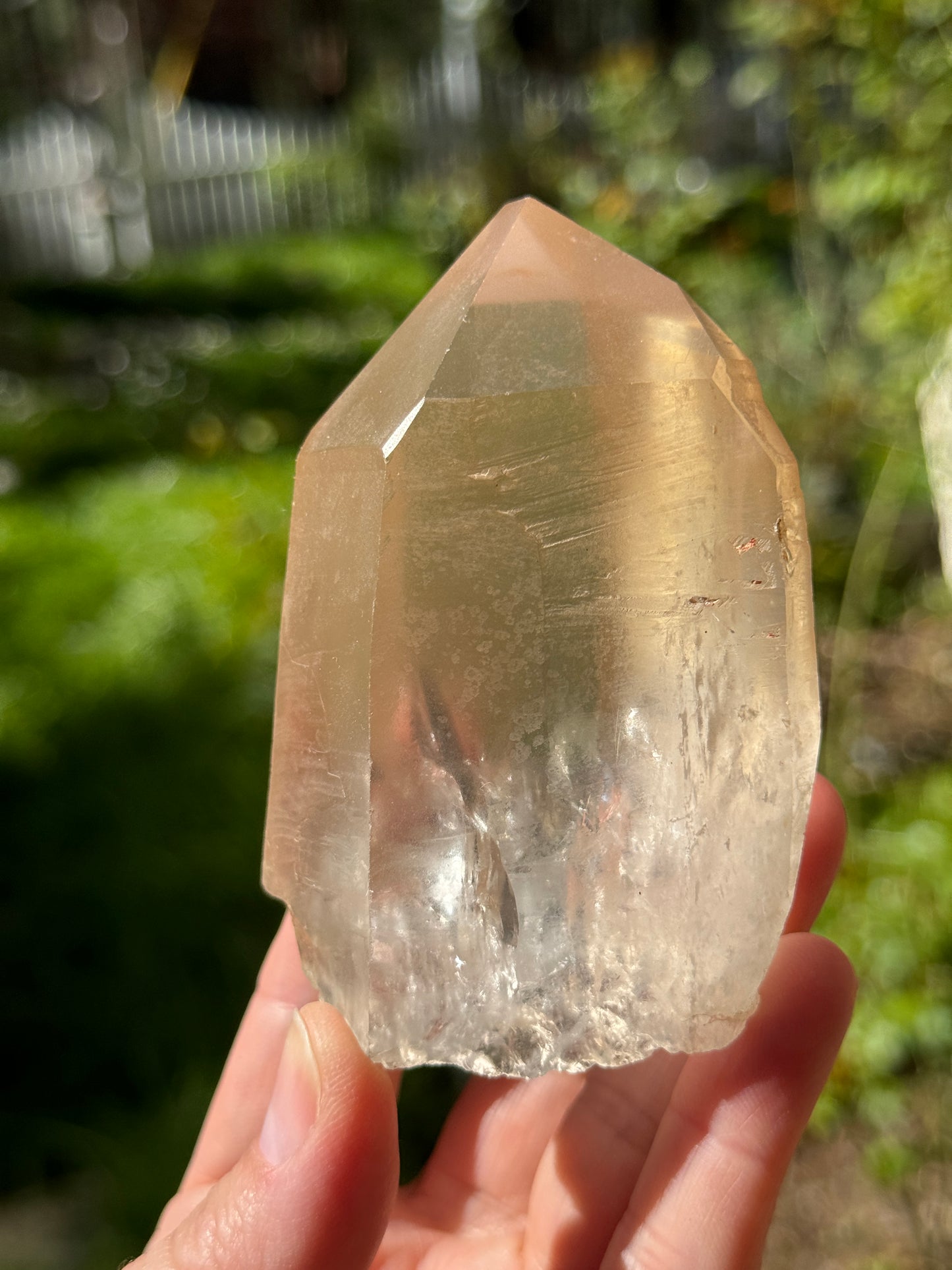 Bendy Golden Healer Lemurian Quartz, 286g Brazil