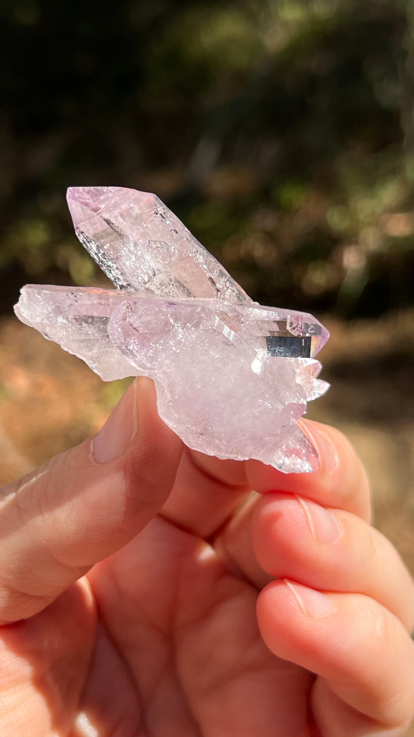 Amethyst Crystal, Veracruz Mexico