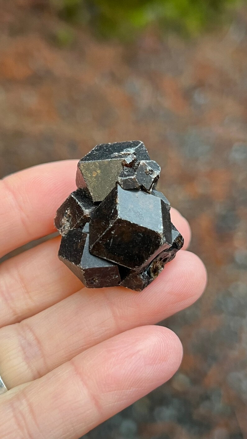 Andradite Garnet var. Melanite, Black Garnet, 31g Mali