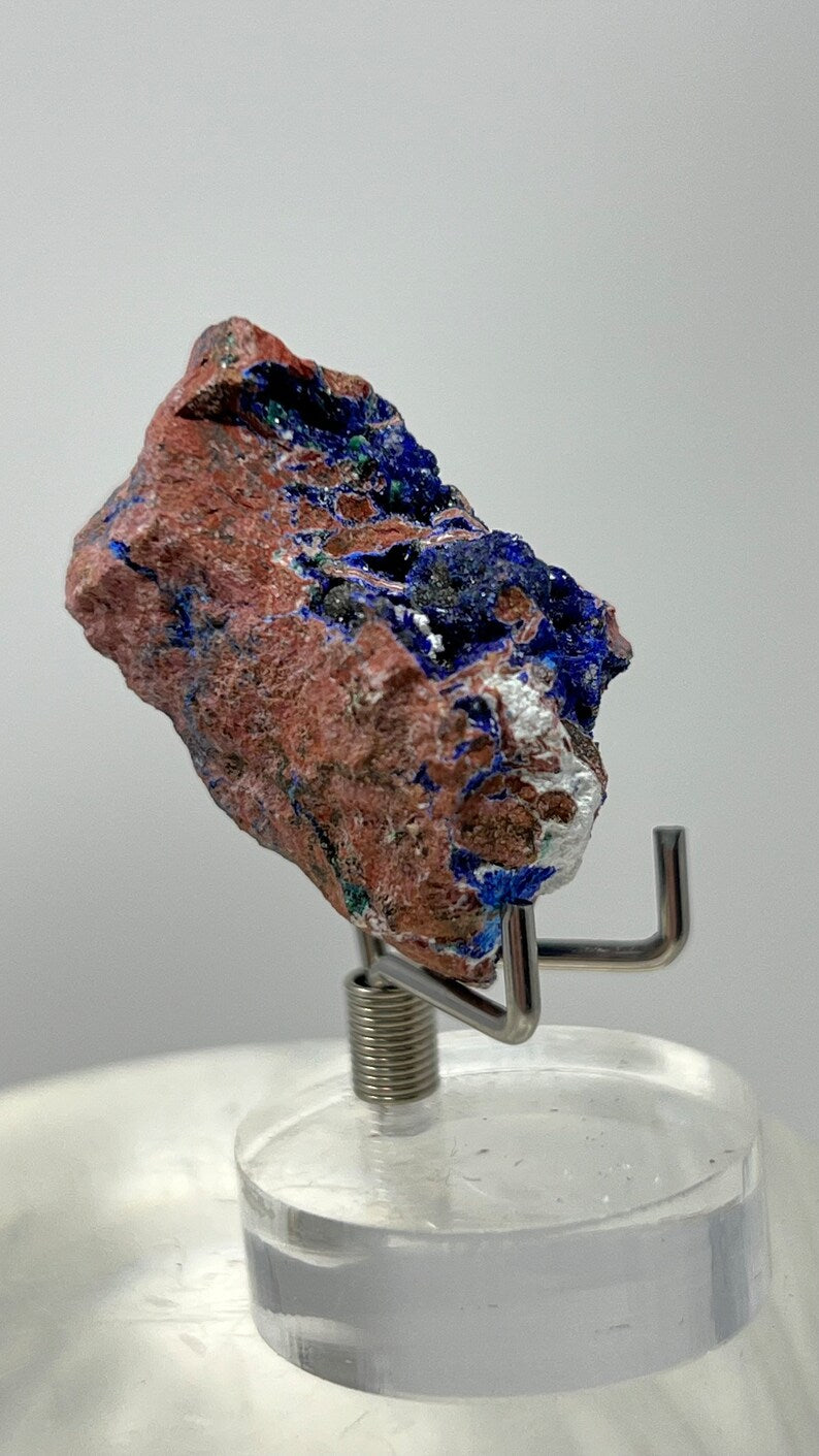 Azurite Crystals in Matrix, Morenci Mine Region, Arizona USA