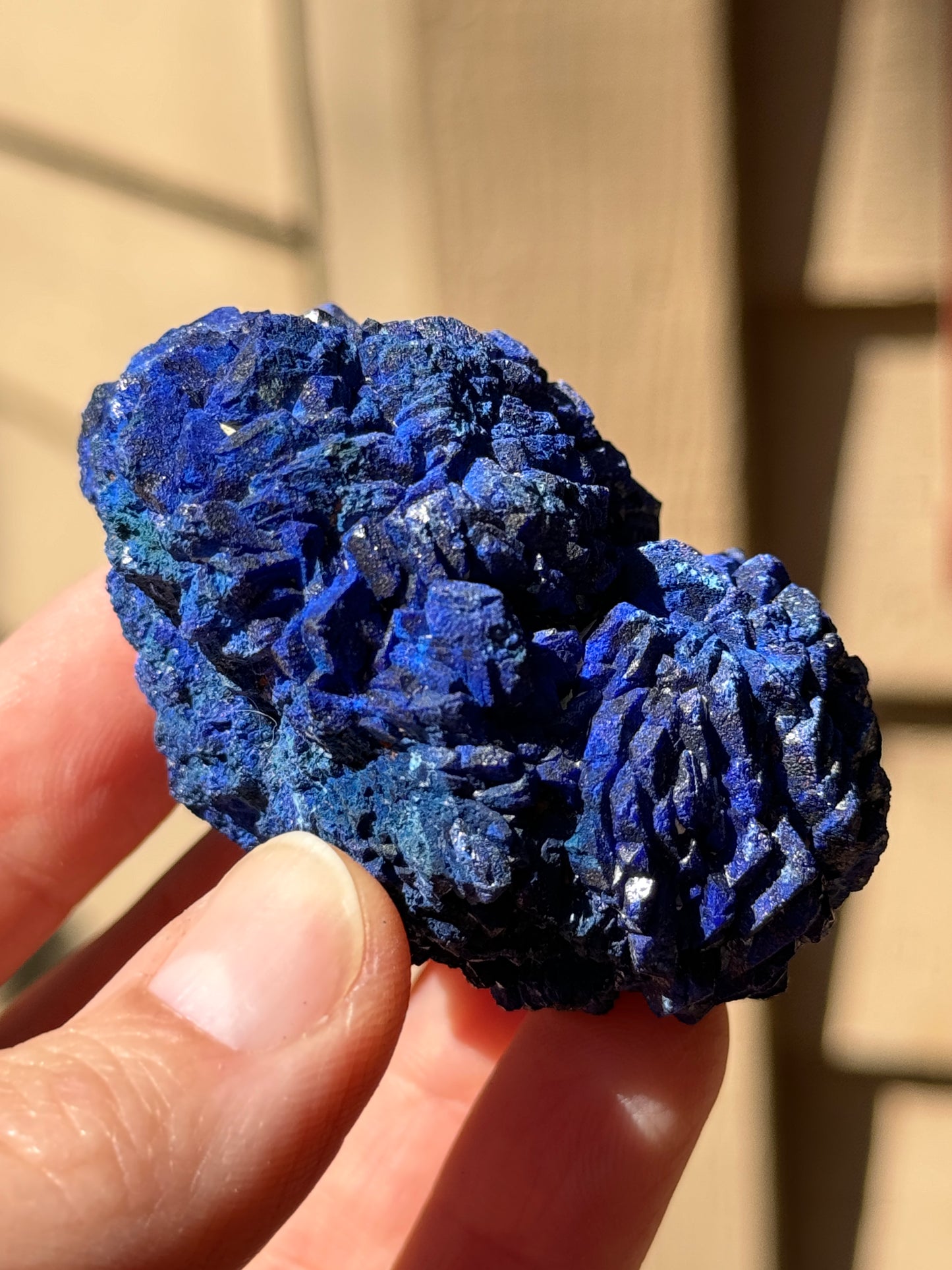 Azurite Rosette 153g, Morenci Mine, Arizona USA