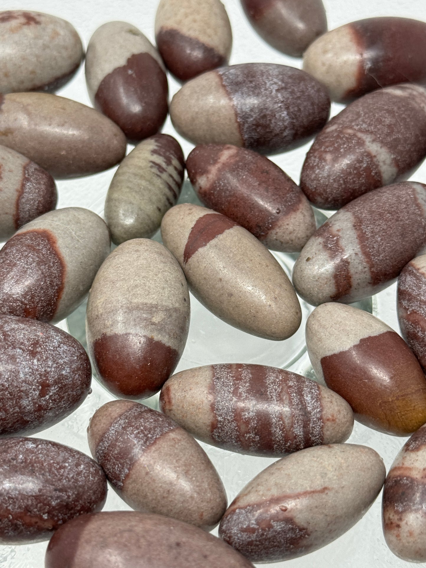 One Shiva Lingam River Tumbled Stone