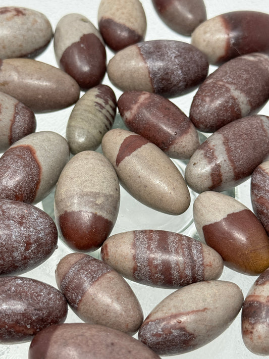 One Shiva Lingam River Tumbled Stone