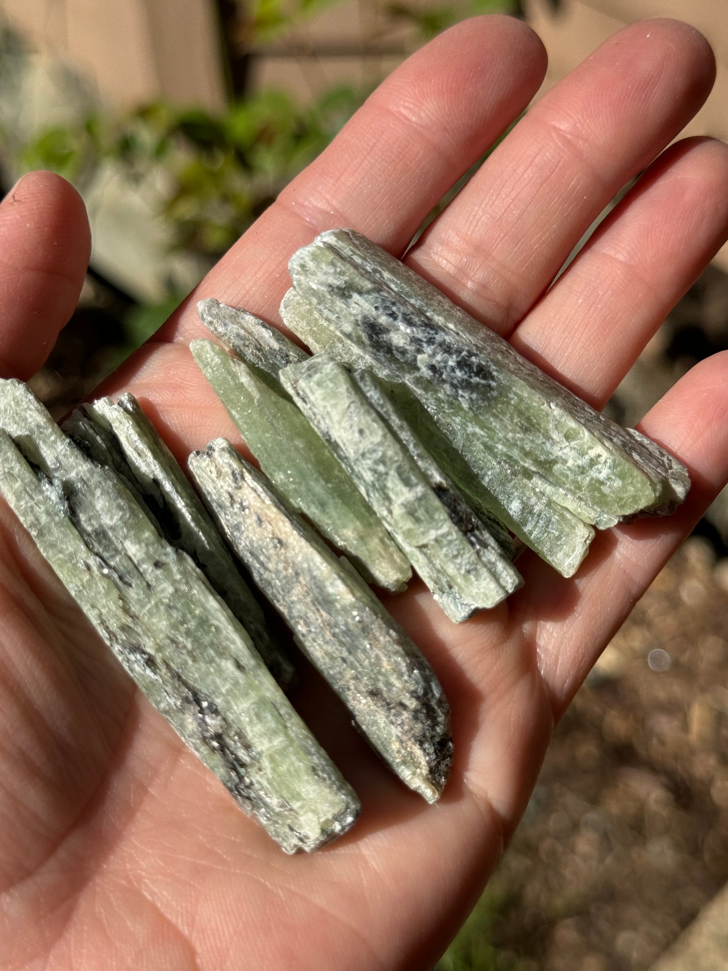ONE Green Kyanite Blade, Raw Natural Mineral Specimen
