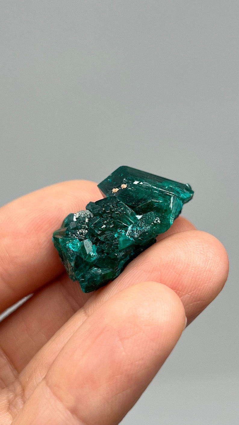 Prismatic Dioptase, Emerald Green Crystal, Pool Dept. Congo