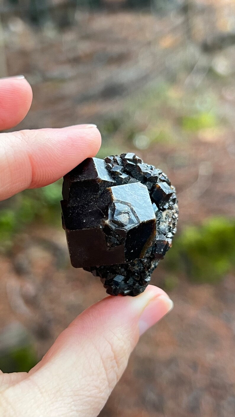 Andradite Garnet var. Melanite, Black Garnet, Mali