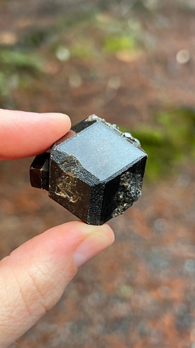 Andradite Garnet var. Melanite, Black Garnet, 49g Mali