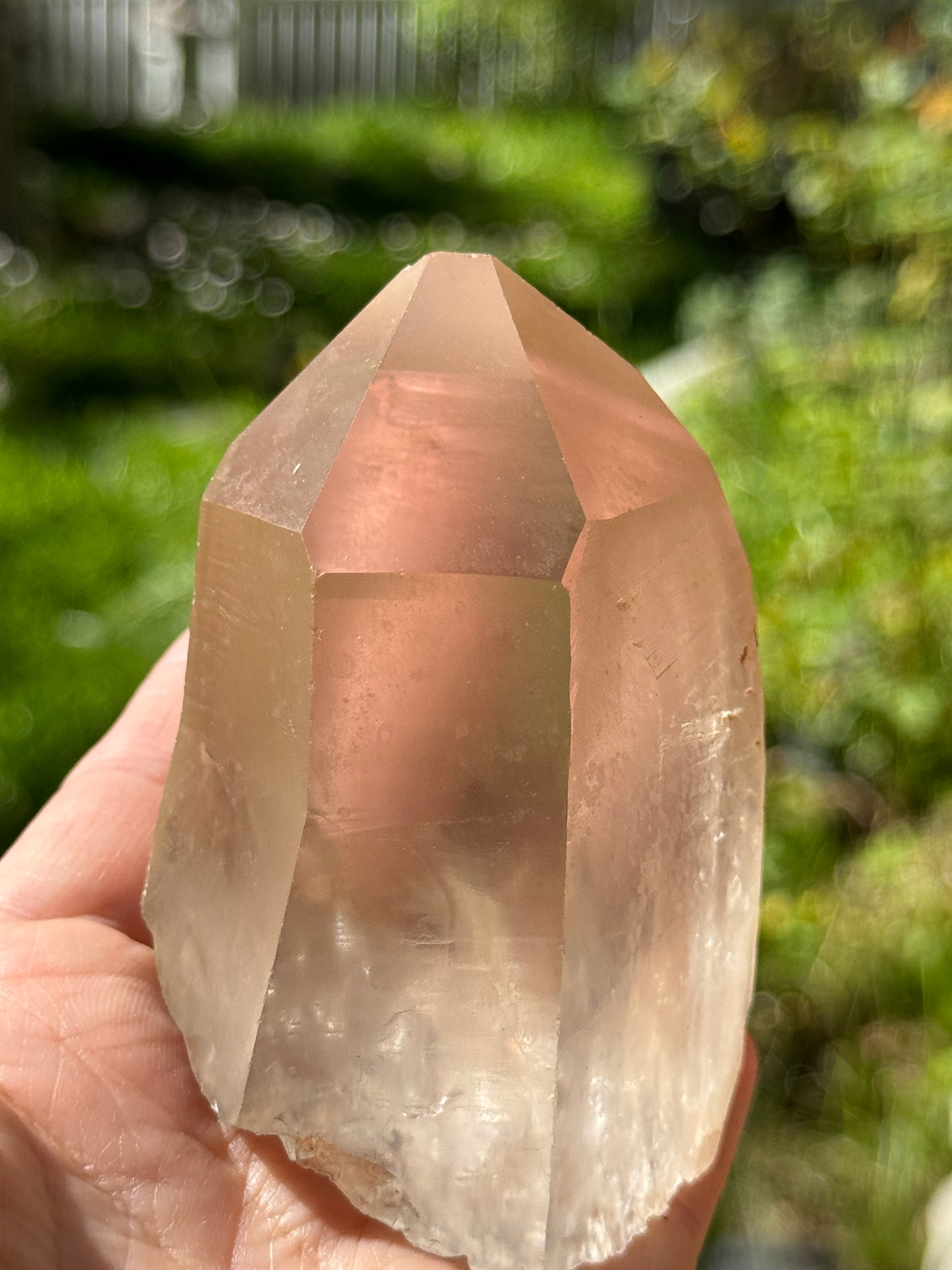 Bendy Golden Healer Lemurian Quartz, 286g Brazil