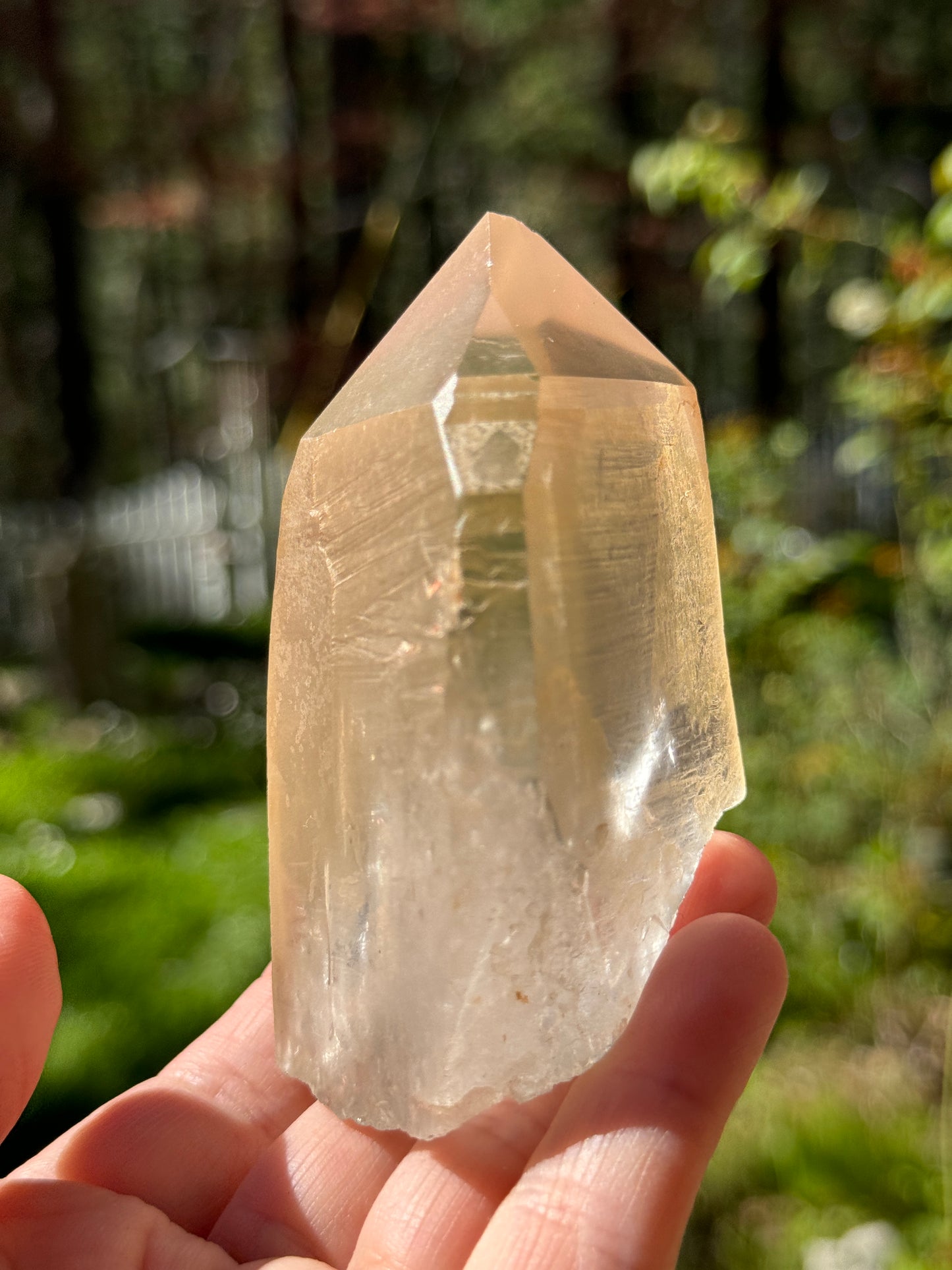 Bendy Golden Healer Lemurian Quartz, 286g Brazil