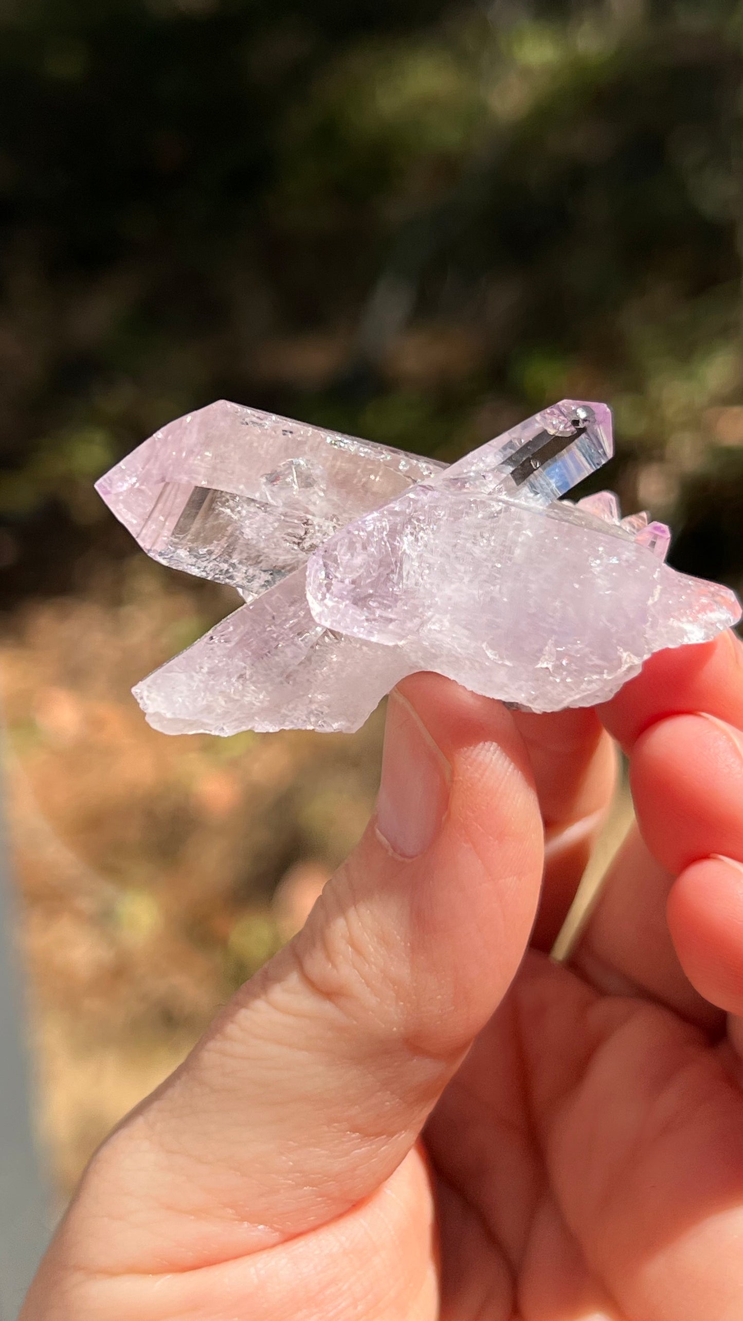 Amethyst Crystal, Veracruz Mexico