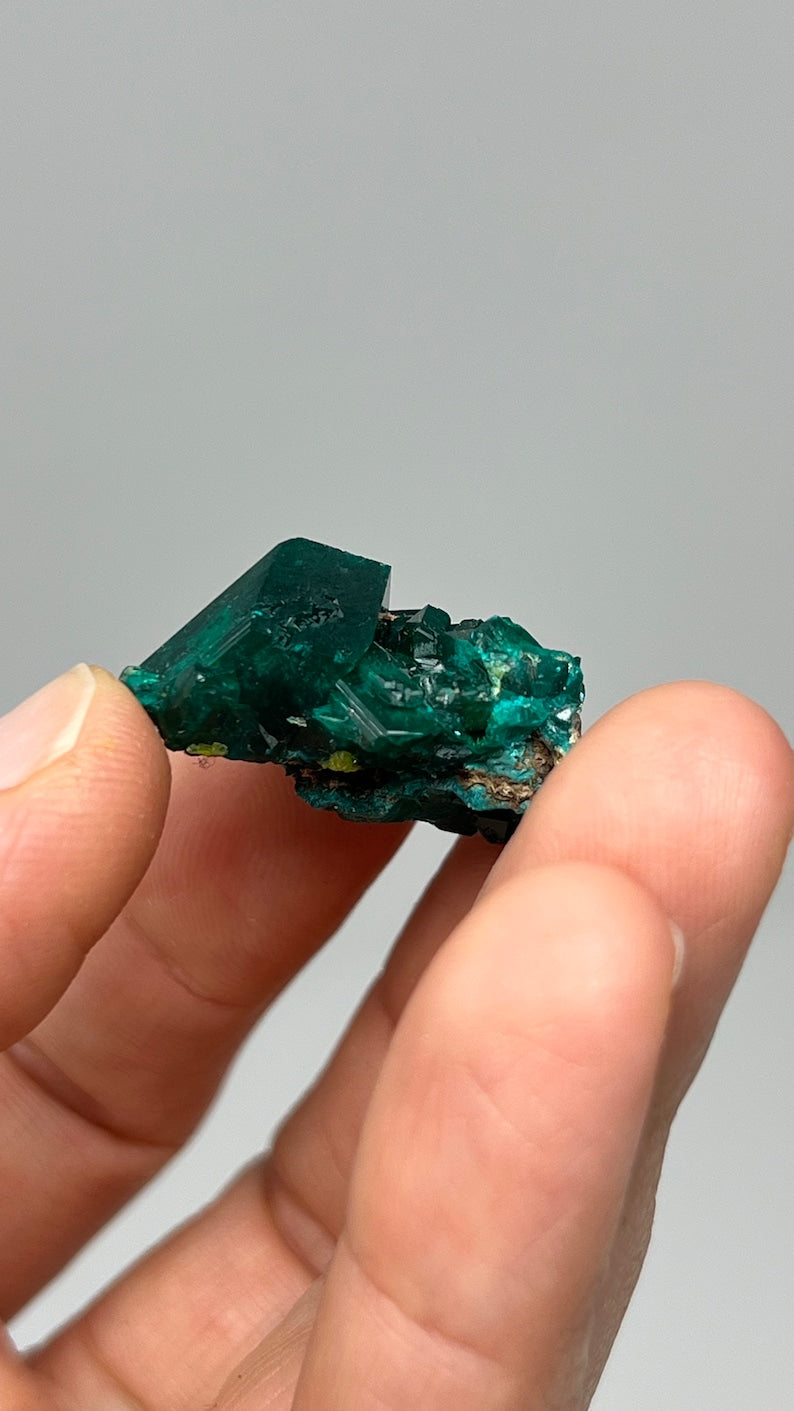 Prismatic Dioptase, Emerald Green Crystal, Pool Dept. Congo
