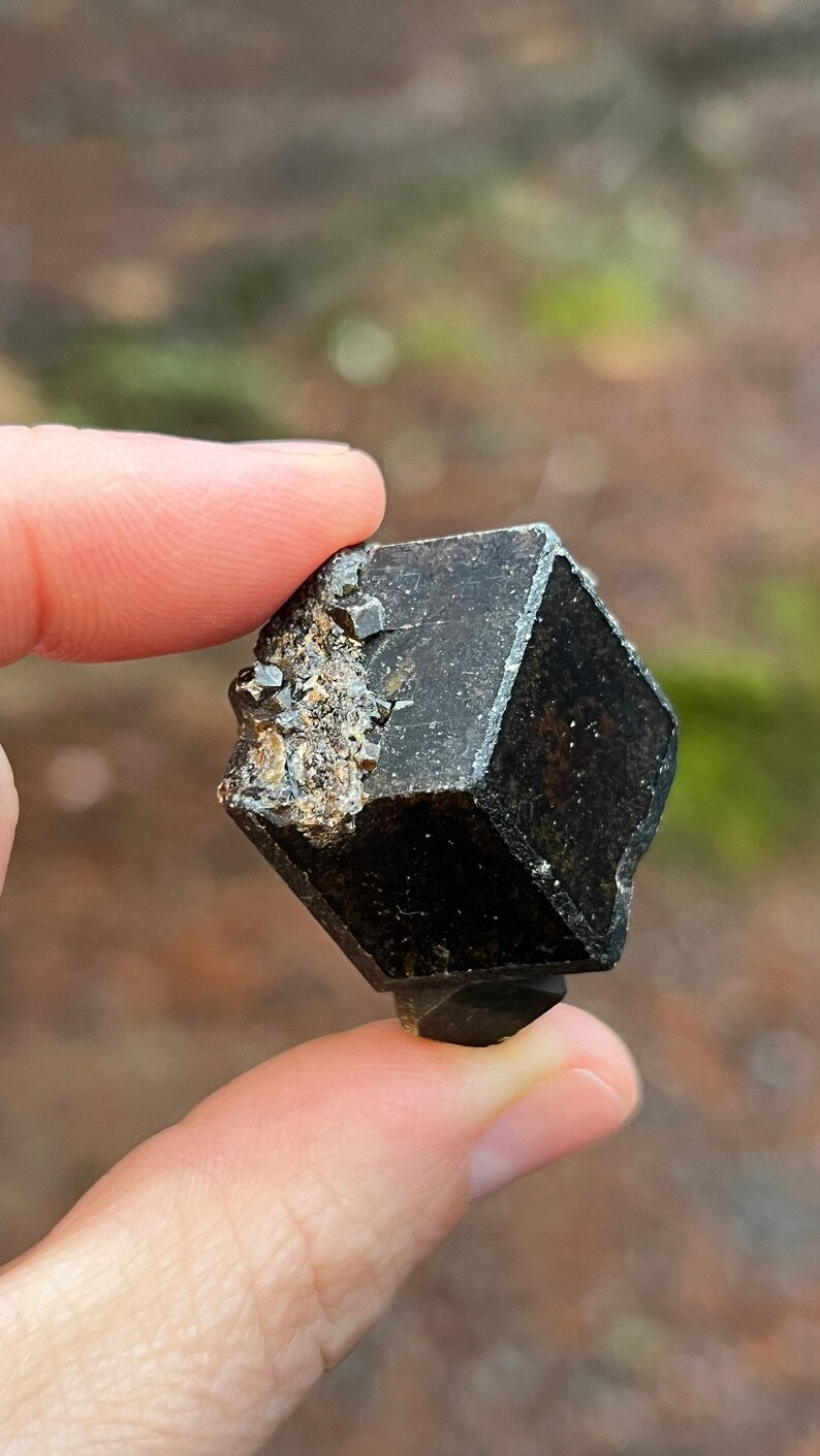 Andradite Garnet var. Melanite, Black Garnet, 49g Mali