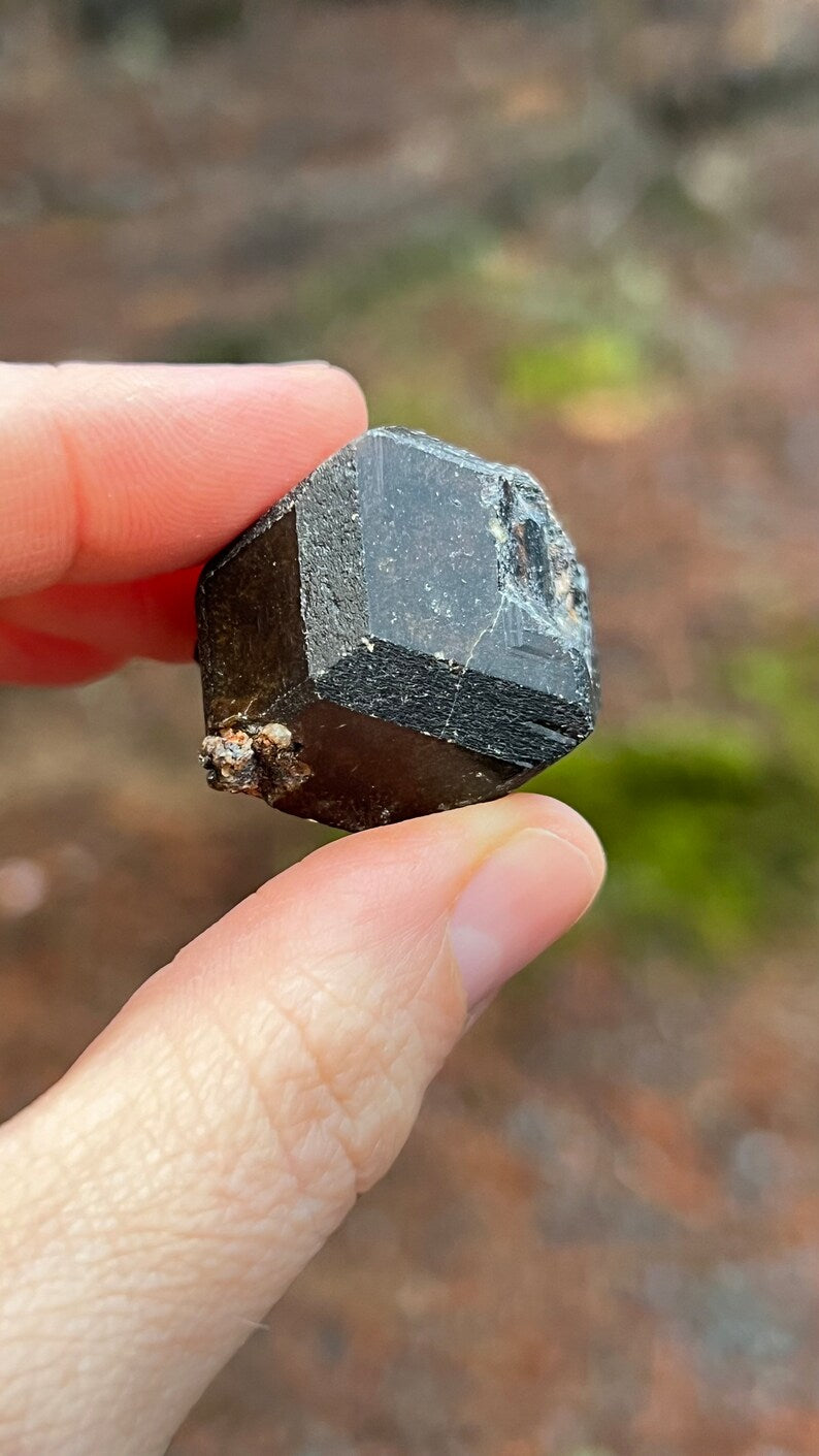 Andradite Garnet var. Melanite, Black Garnet, 39g Mali