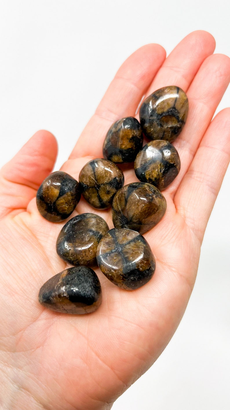 ONE Chiastolite Tumbled Stone