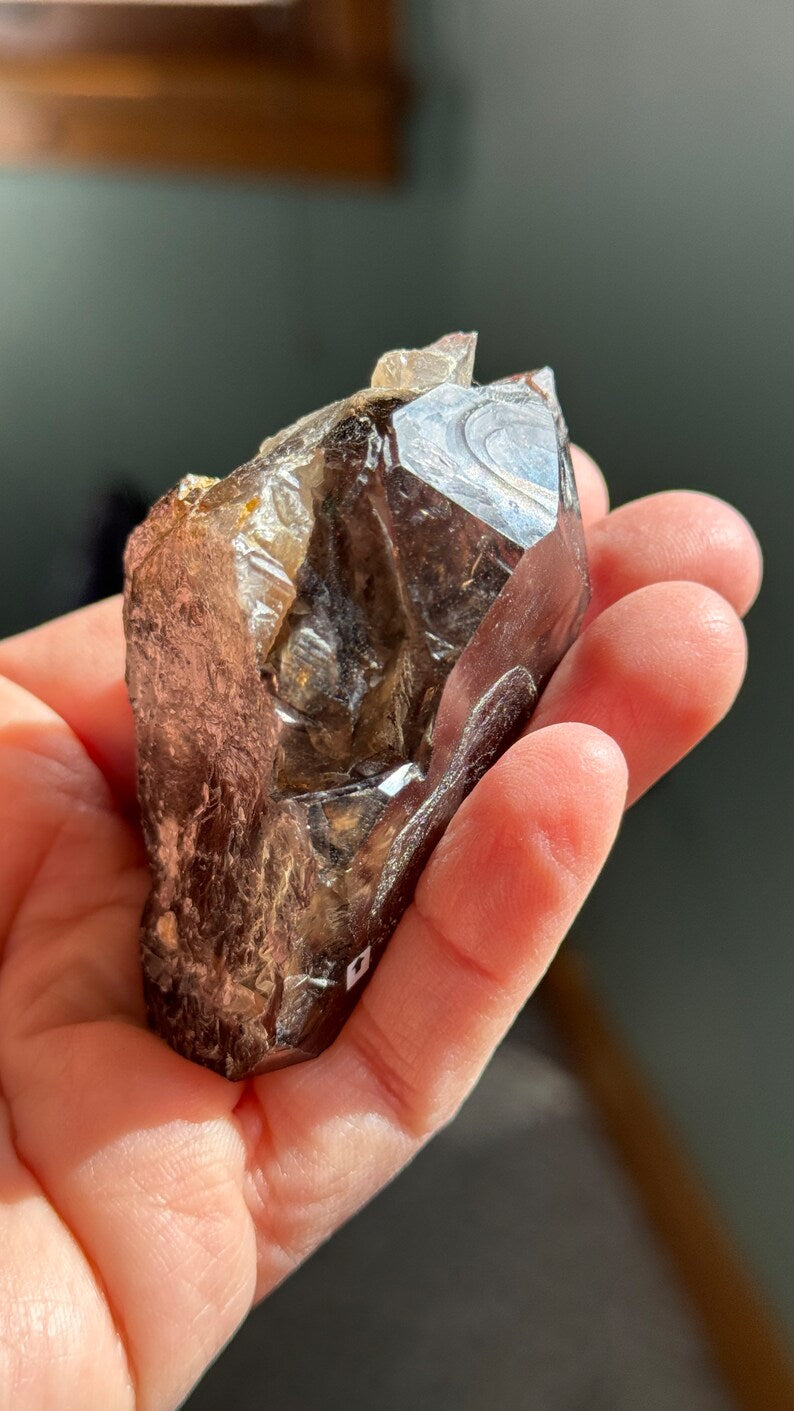 Smoky Elestial Enhydro Quartz, 113g Brazil