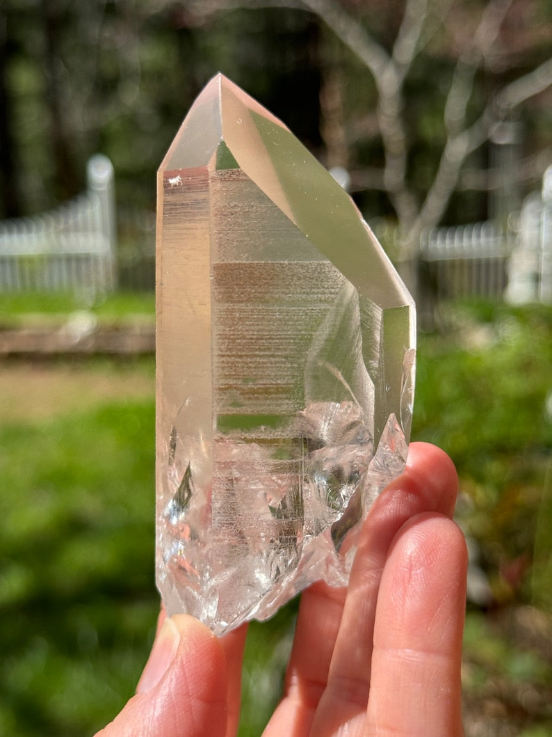 Future Time-link Lemurian, 202g Arkansas, USA