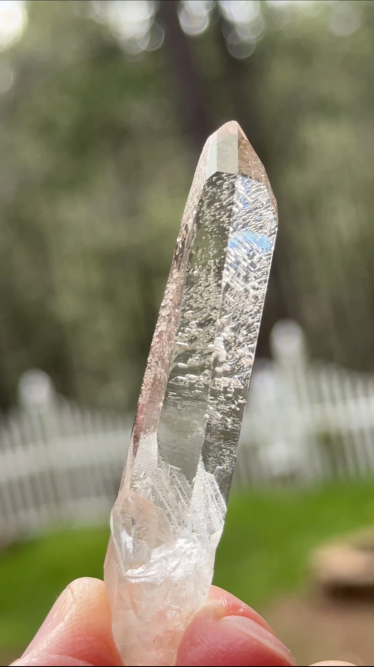 Diamond Window Recordkeeper Lemurian, 12g, Arkansas USA
