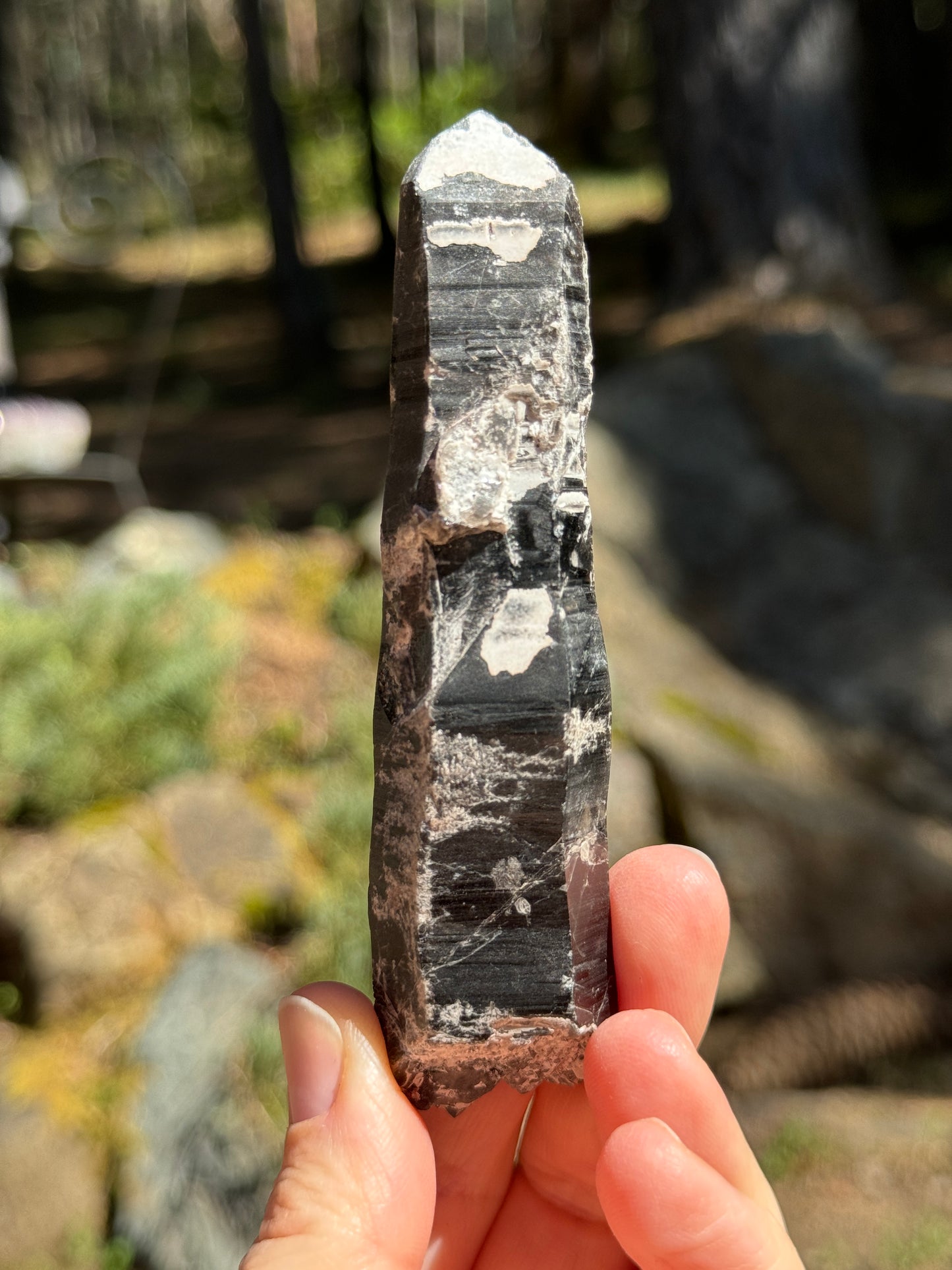 DT Morion Smoky Quartz Lemurian, 82g Mongolia