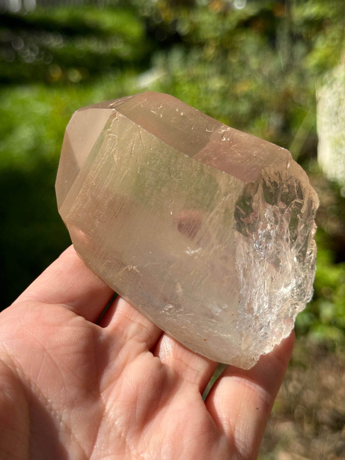 Bendy Golden Healer Lemurian Quartz, 286g Brazil