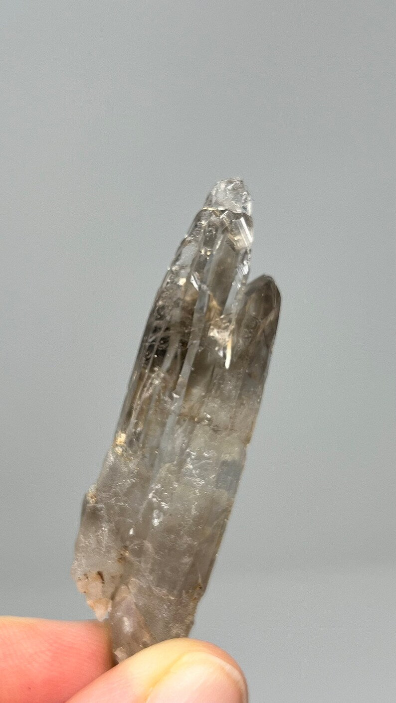 Elestial Lightbrary Smoky Quartz Lemurian, 13.5g Malawi