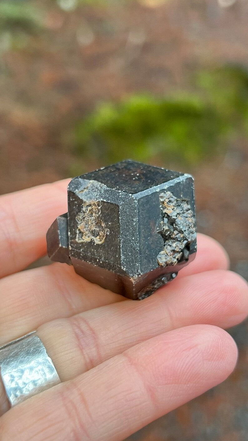 Andradite Garnet var. Melanite, Black Garnet, 49g Mali