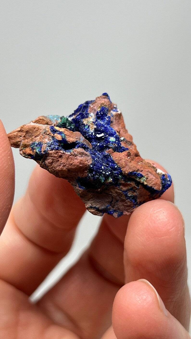 Azurite Crystals in Matrix, Morenci Mine Region, Arizona USA