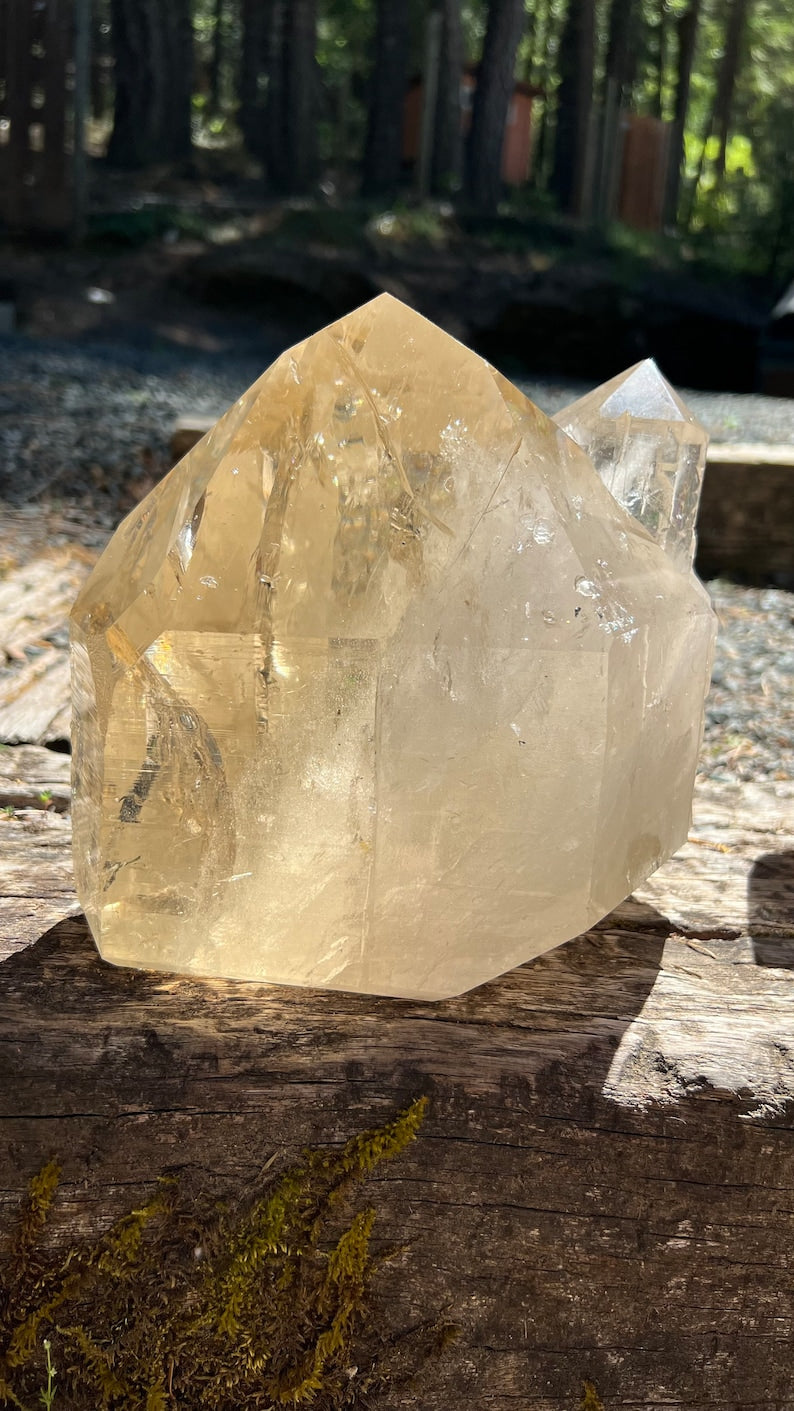 Large Elestial Citrine Decorator Crystal