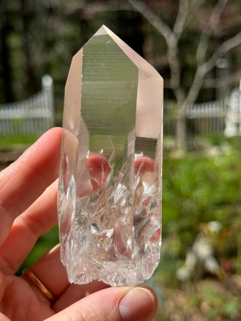 Future Time-link Lemurian, 202g Arkansas, USA