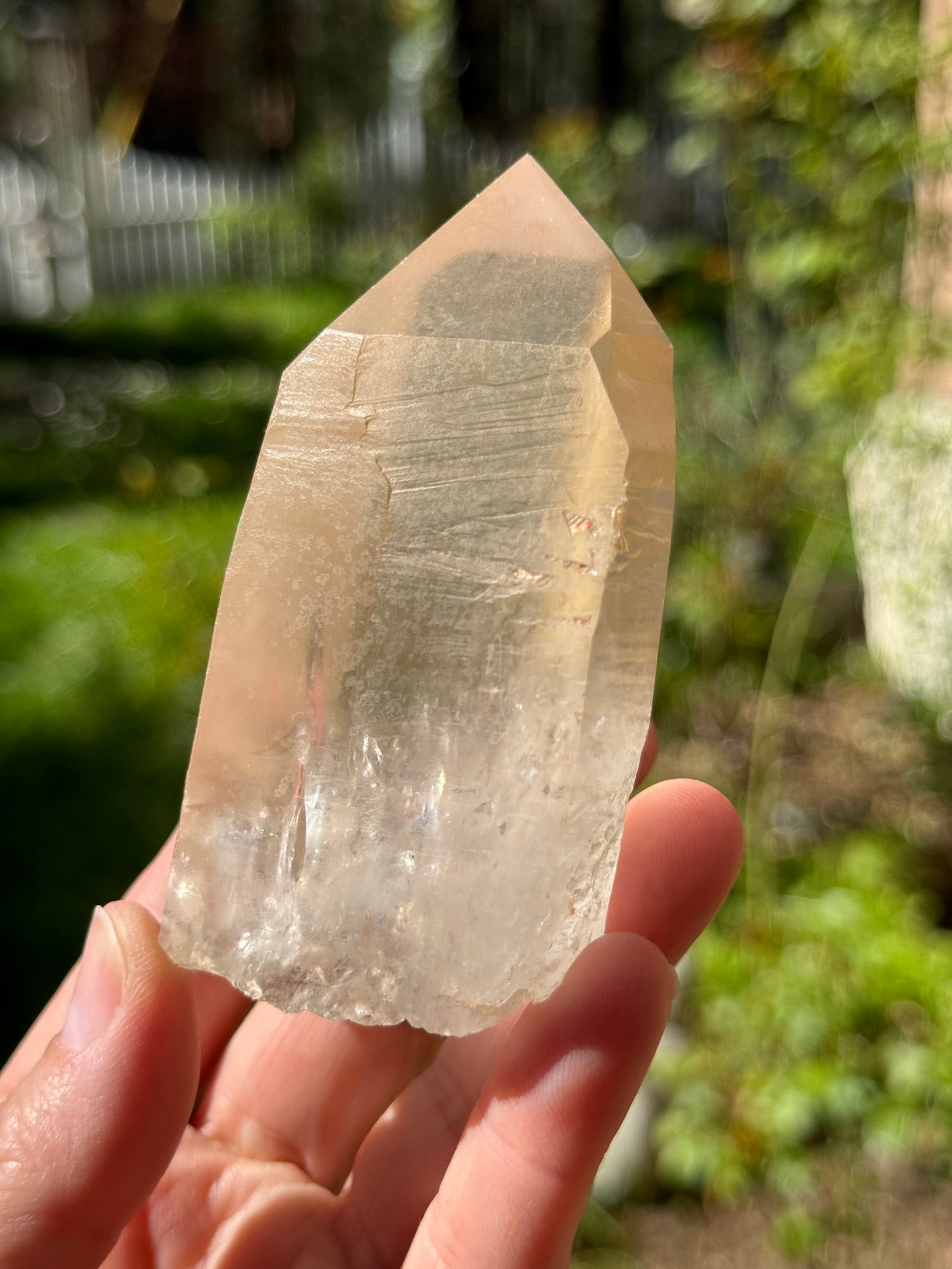 Bendy Golden Healer Lemurian Quartz, 286g Brazil