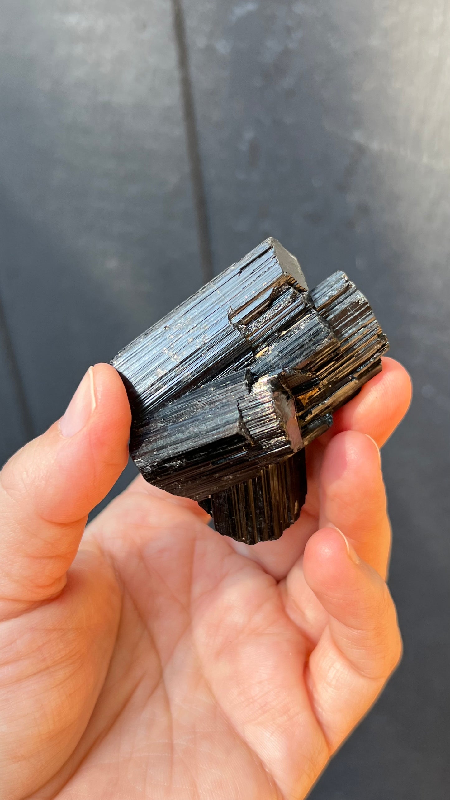 Black Tourmaline Crystal, Schorl, Namibia