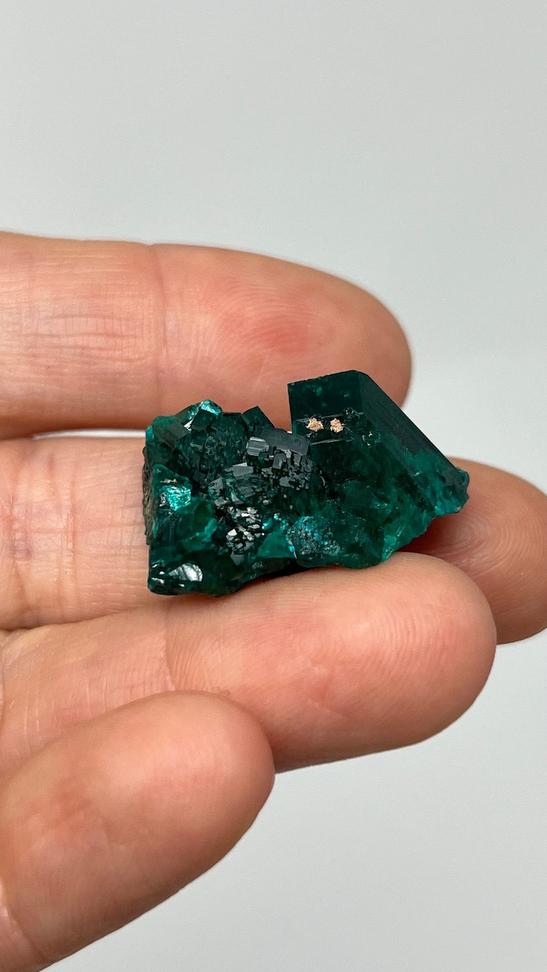 Prismatic Dioptase, Emerald Green Crystal, Pool Dept. Congo