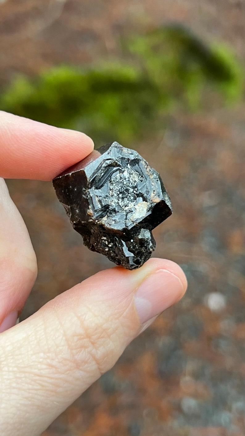 Andradite Garnet var. Melanite, Black Garnet, 22g Mali