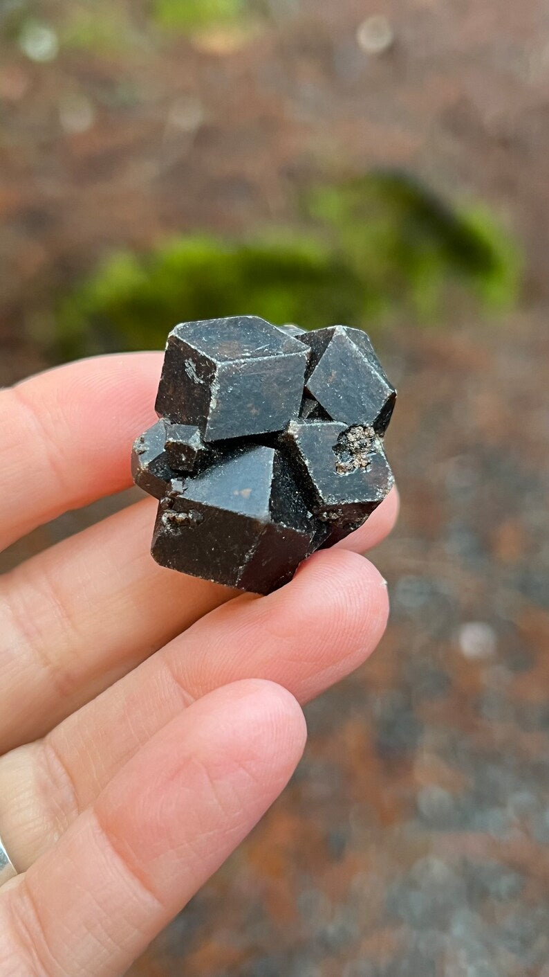 Andradite Garnet var. Melanite, Black Garnet, 31g Mali